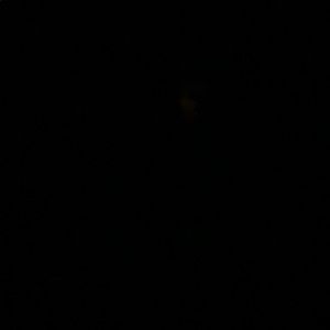 Meet your Posher, Cassidy